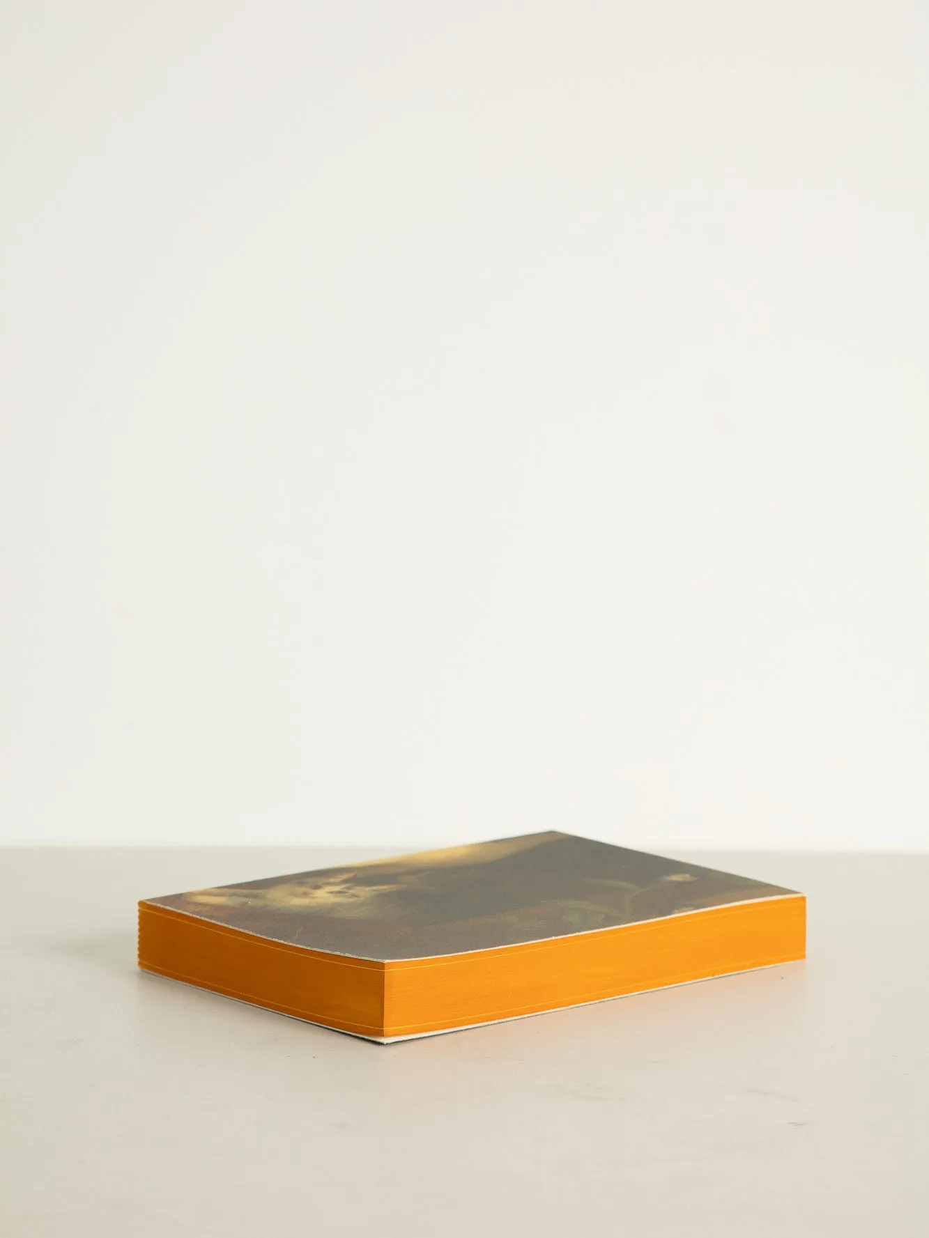 Libri Multi Canvas Notebook - Cat