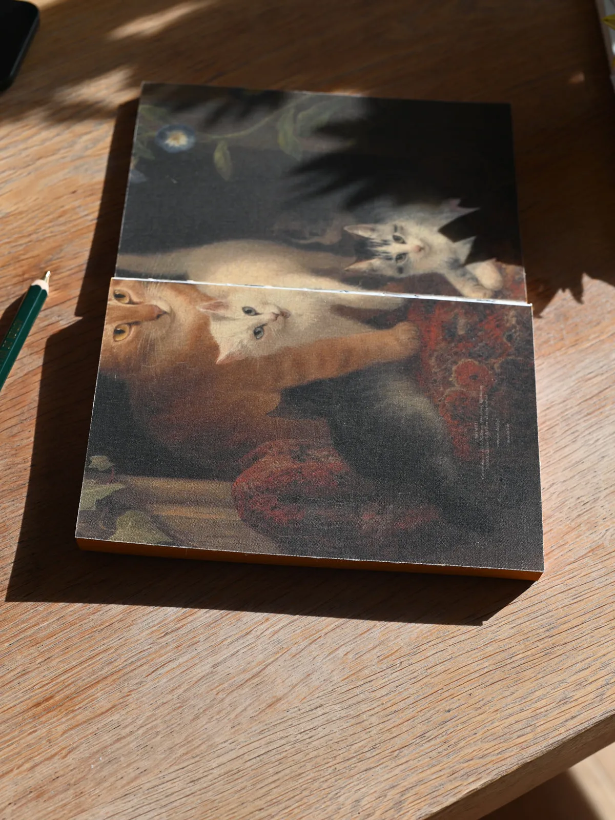 Libri Multi Canvas Notebook - Cat